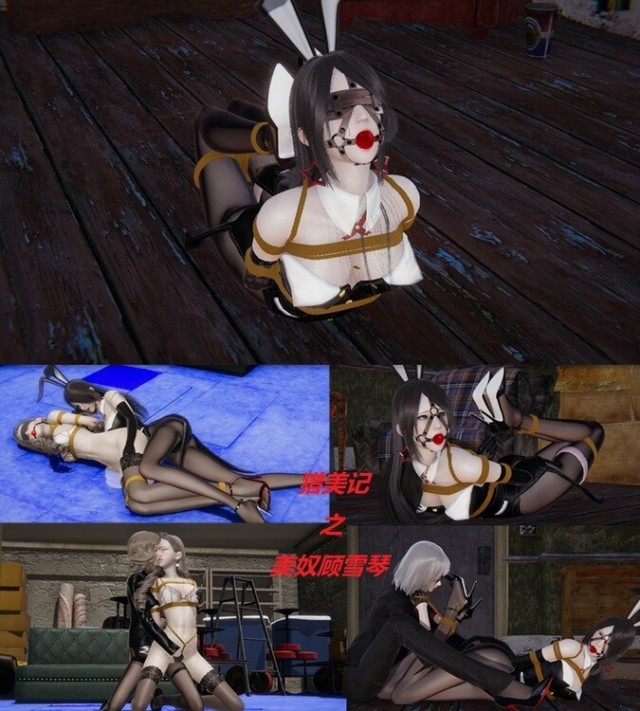 猎美记之美女顾雪琴预览图