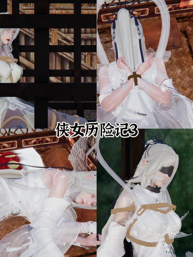 Adventures of Chivalrous Lady 3-4Preview