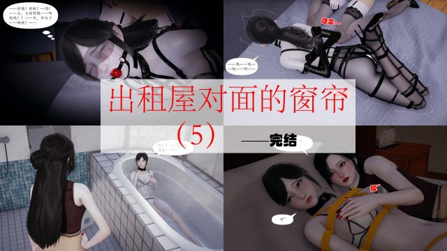 Curtains Across the Rental House (5) - The EndPreview