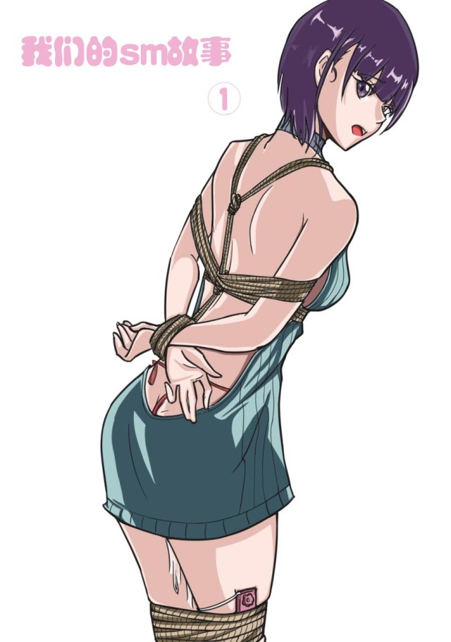 我们的sm故事1预览图