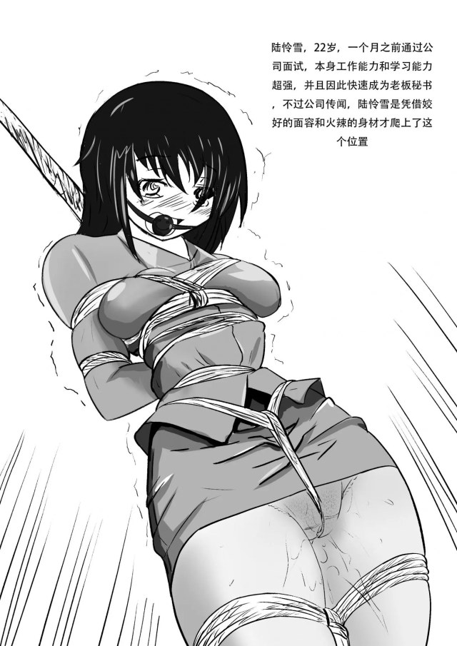 A new secretary's first experience with bondagePreview