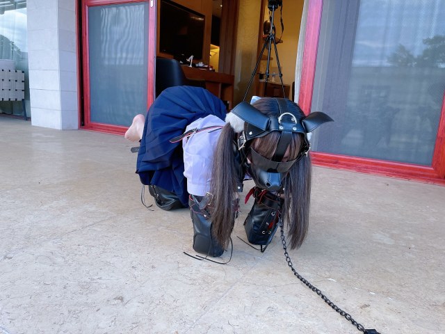 茶茶户外人形犬K9初体验~（视频已发布）预览图