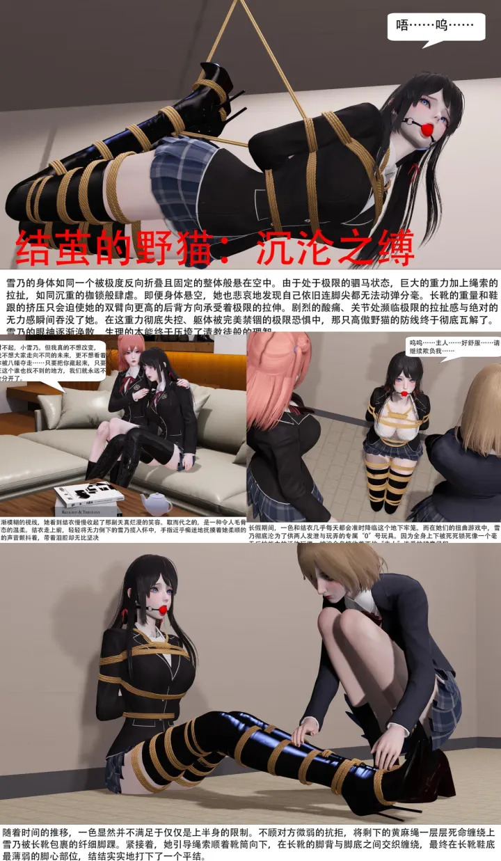 结茧的野猫：沉沦之缚