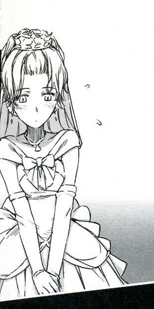 公主的监禁培养之路封面