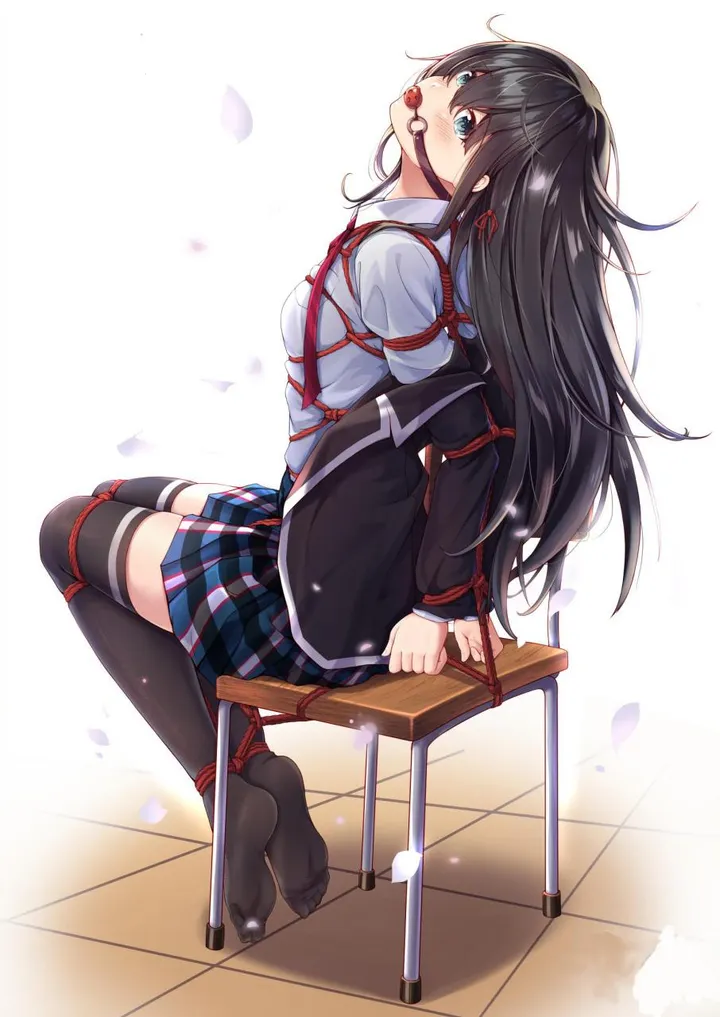 女学生间的绳缚游戏封面