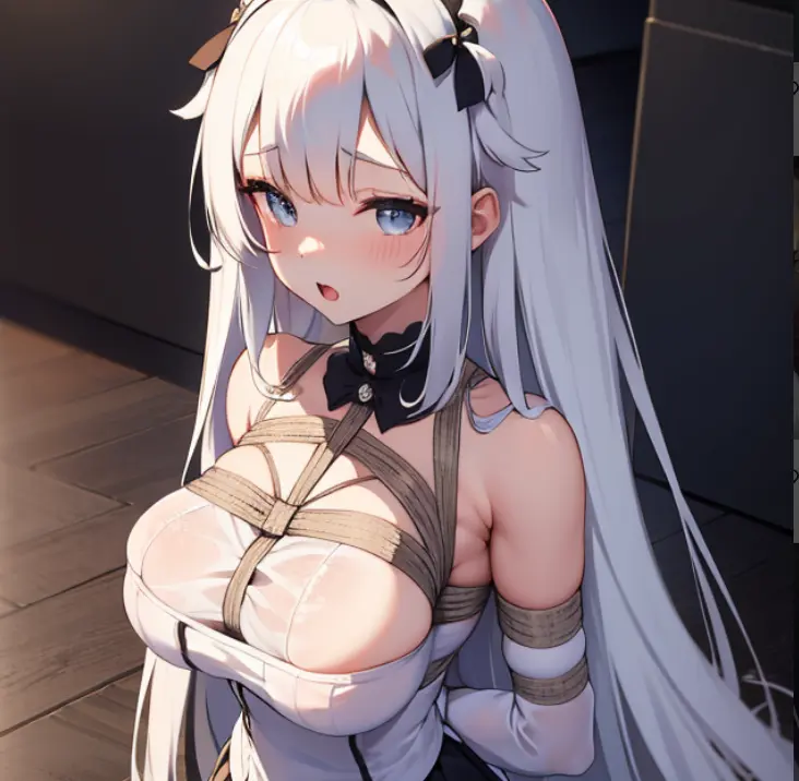 美女的劫难（定制文）又名阮语彤的受虐之旅封面