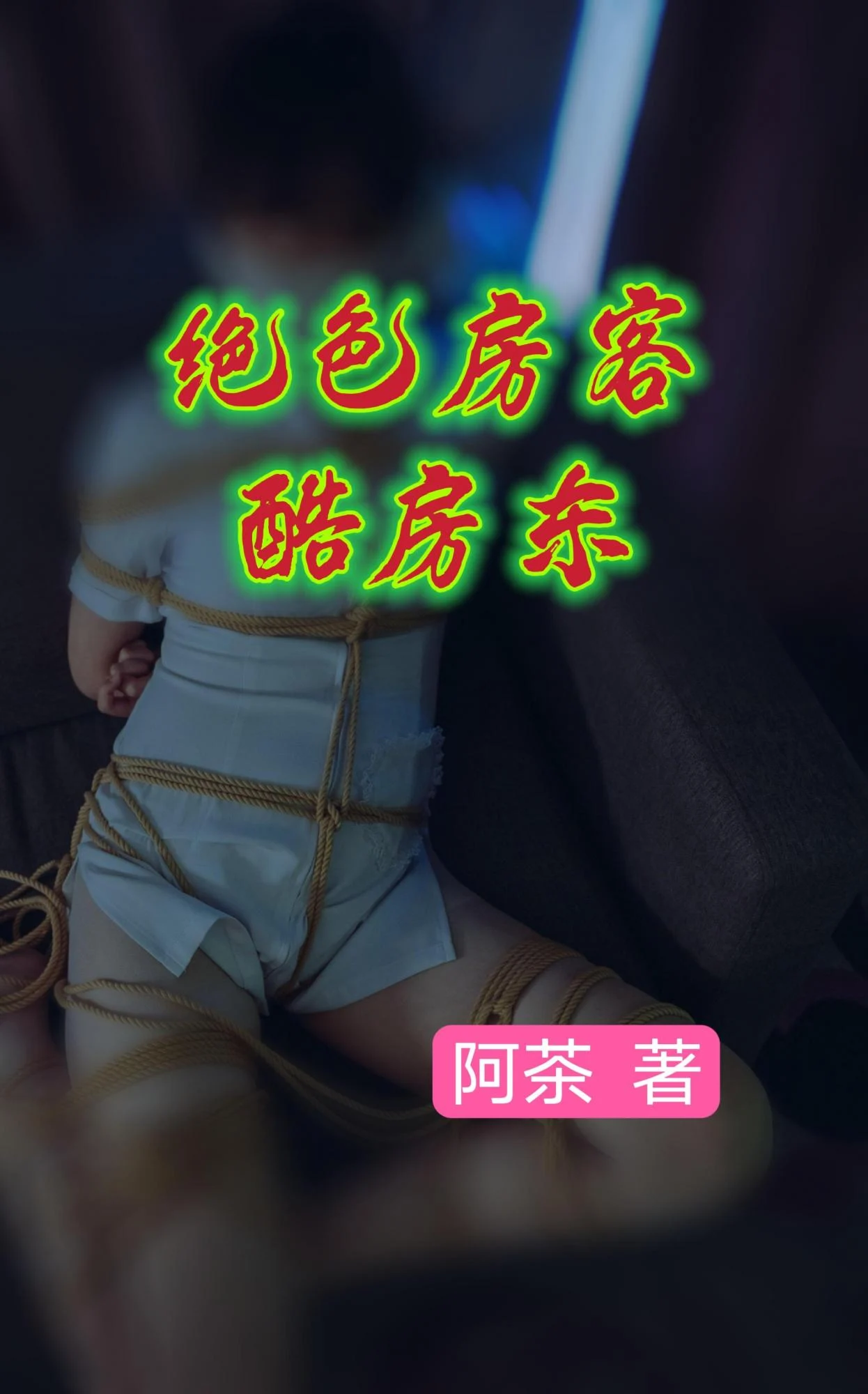 绝色房客酷房东封面