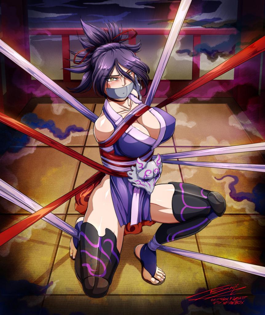 Ninja Combat CaptureCover