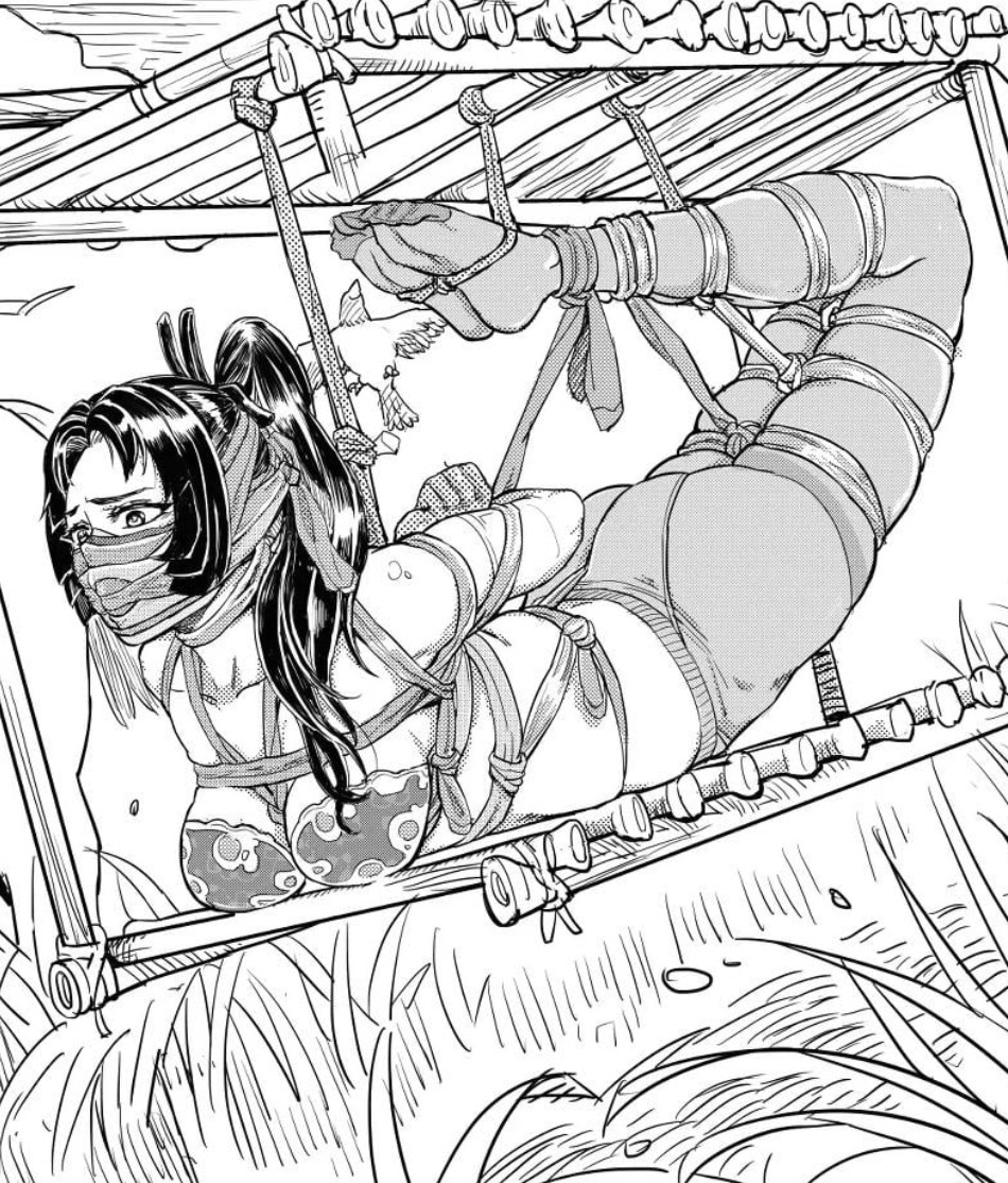 各种送绑文封面